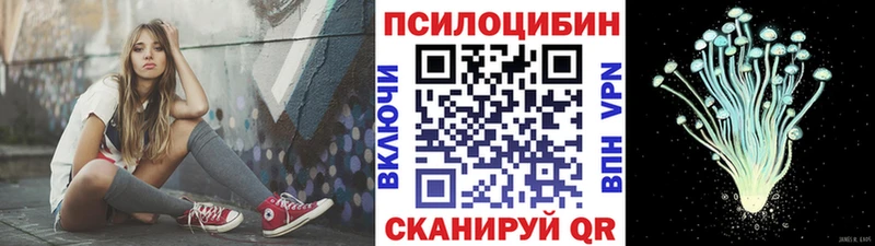 Галлюциногенные грибы Psilocybe  Купить где  Коркино 